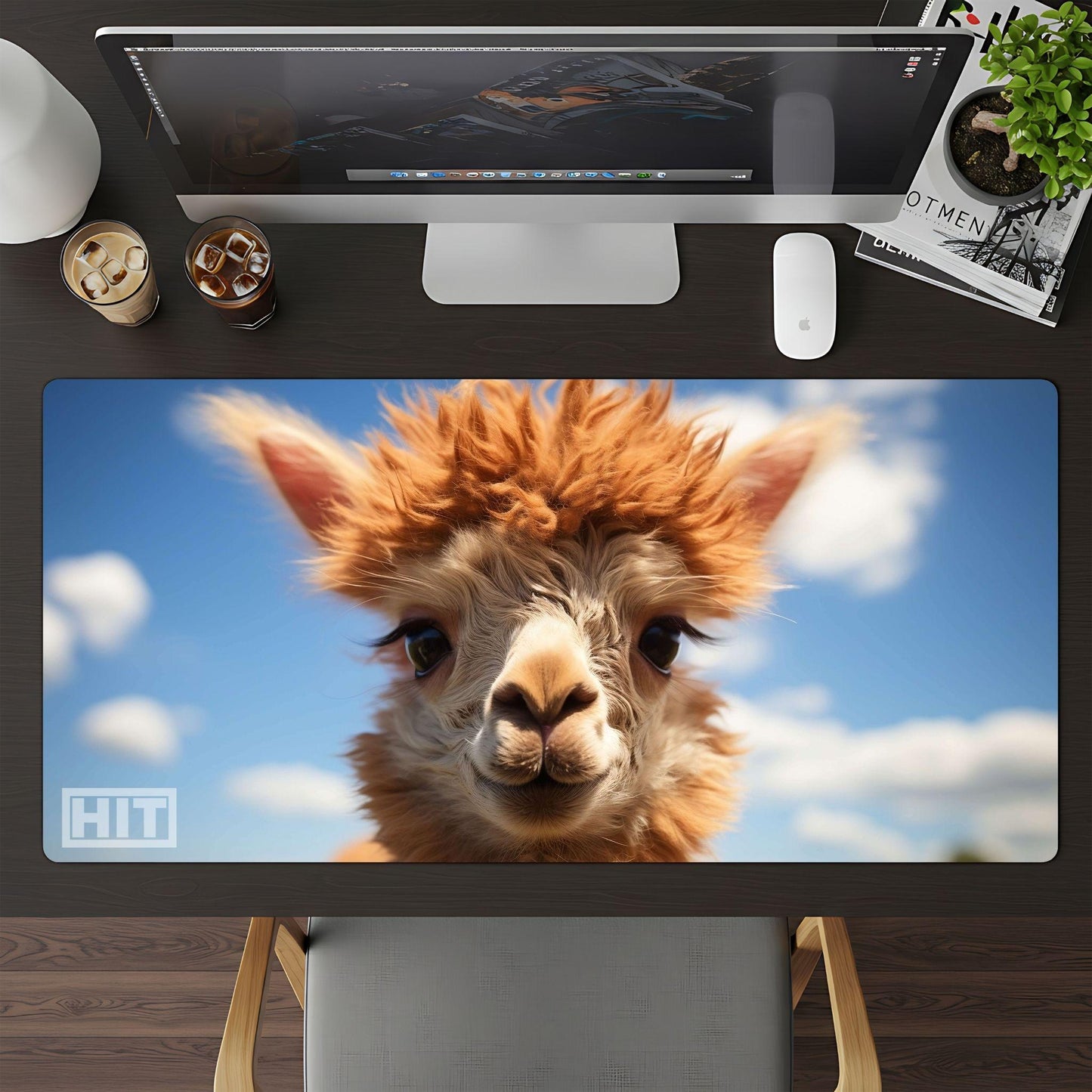 Alpaca - HEYITSTRENDY