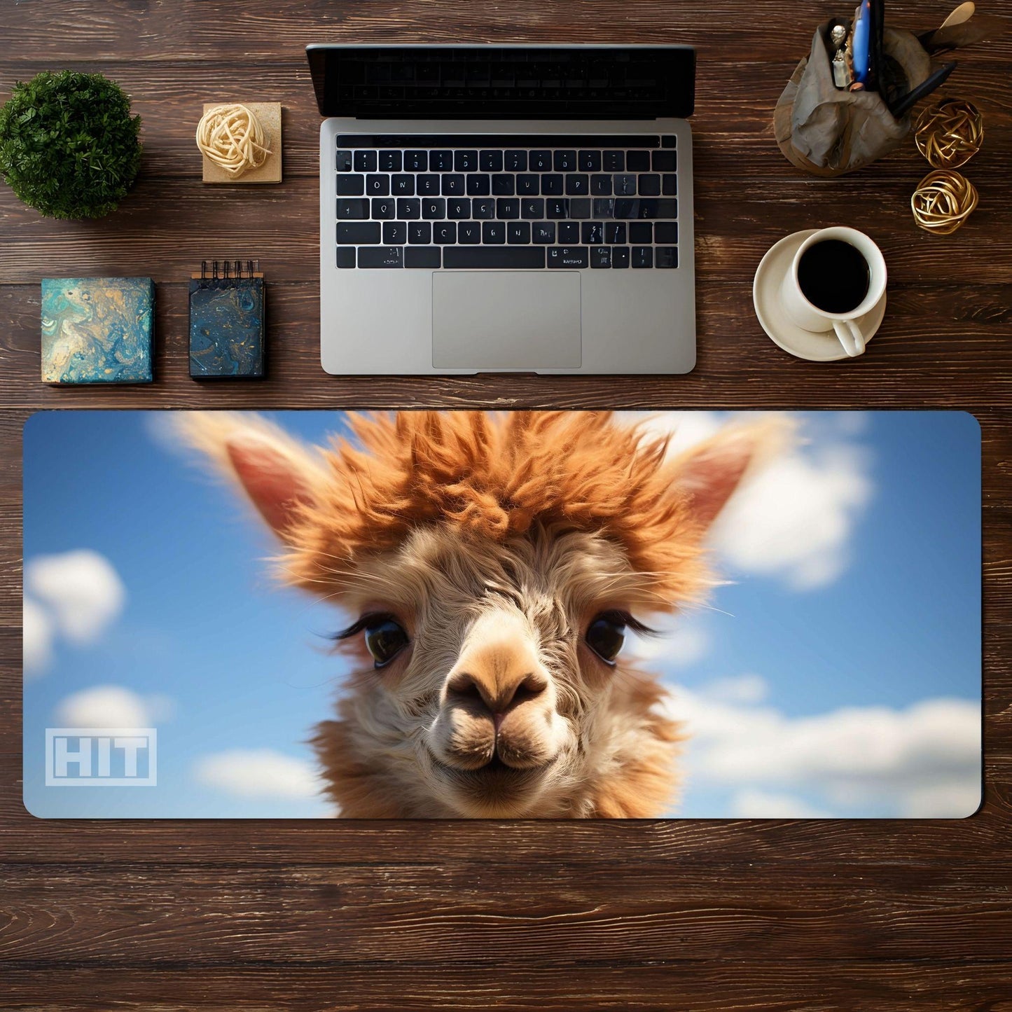 Alpaca - HEYITSTRENDY