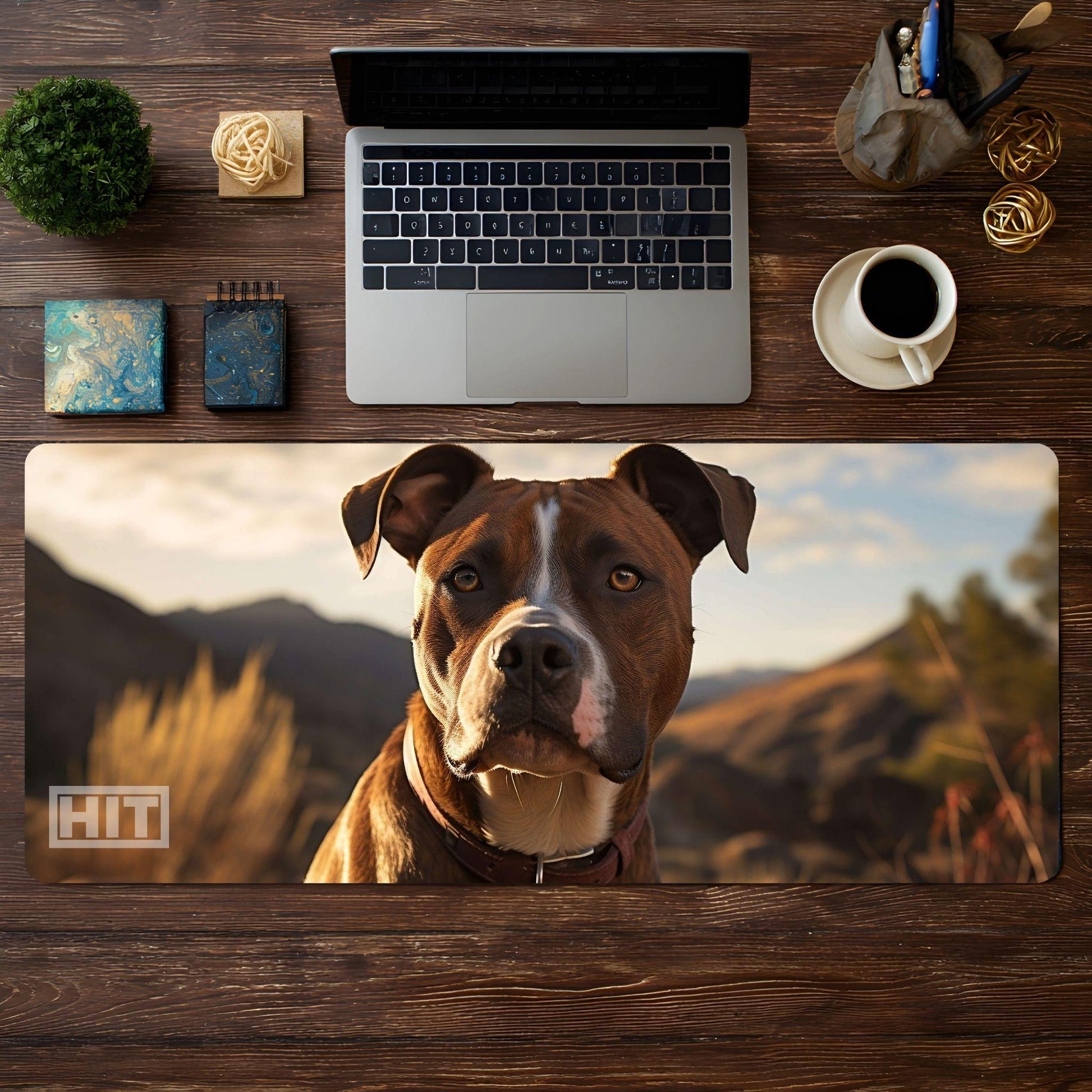 Boxer - HEYITSTRENDY