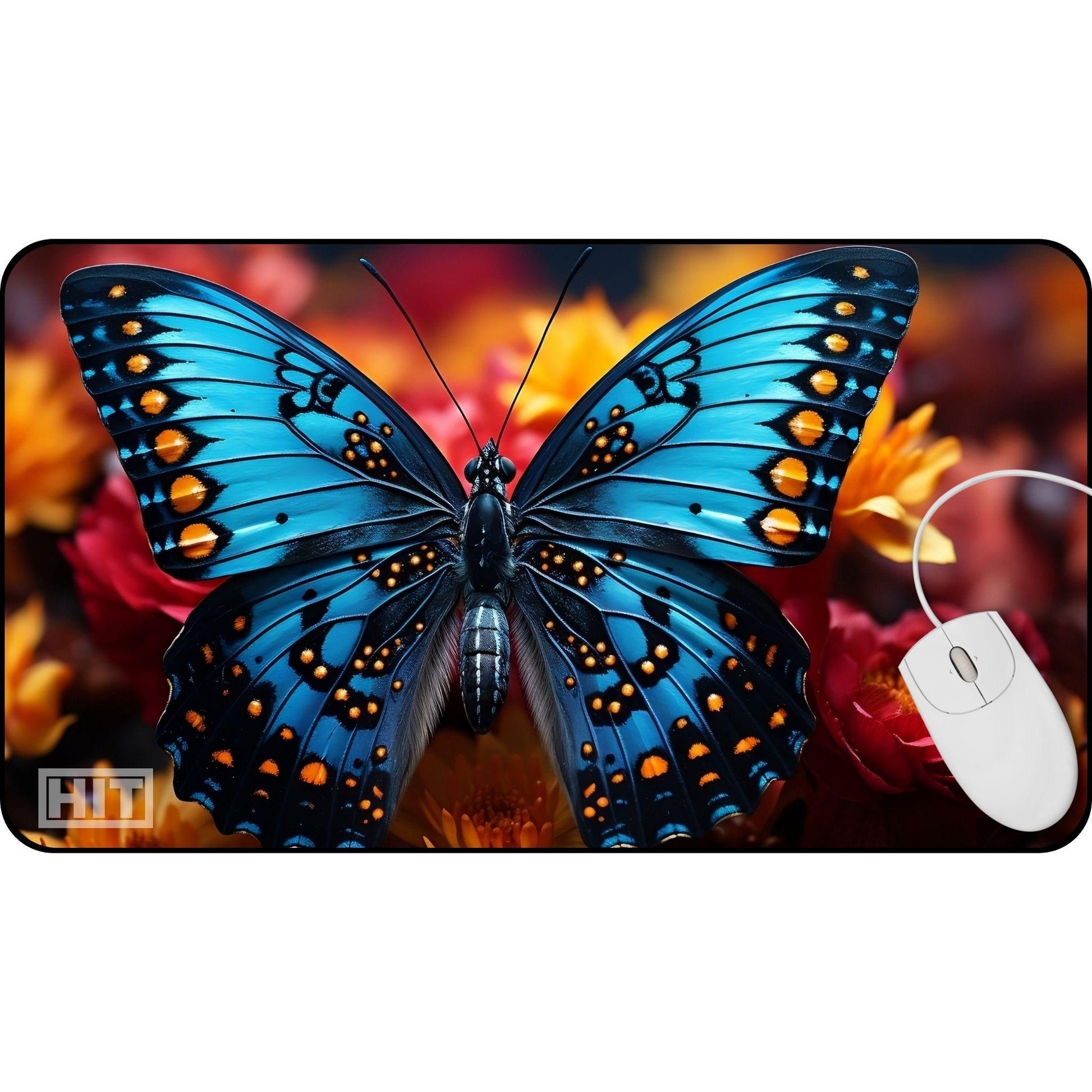 Butterfly - HEYITSTRENDY
