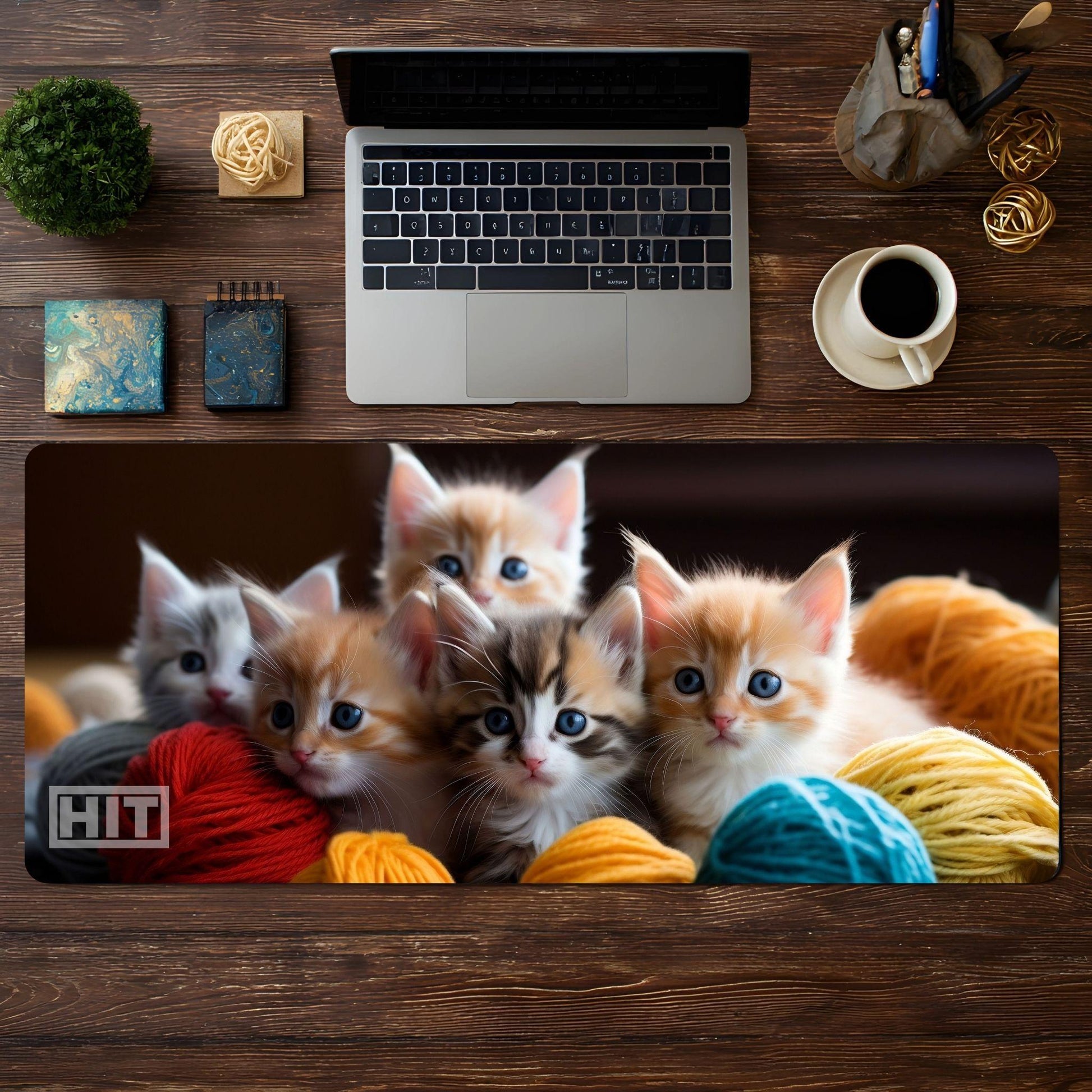 Cute Kittens! - HEYITSTRENDY