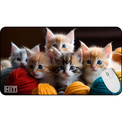 Cute Kittens! - HEYITSTRENDY