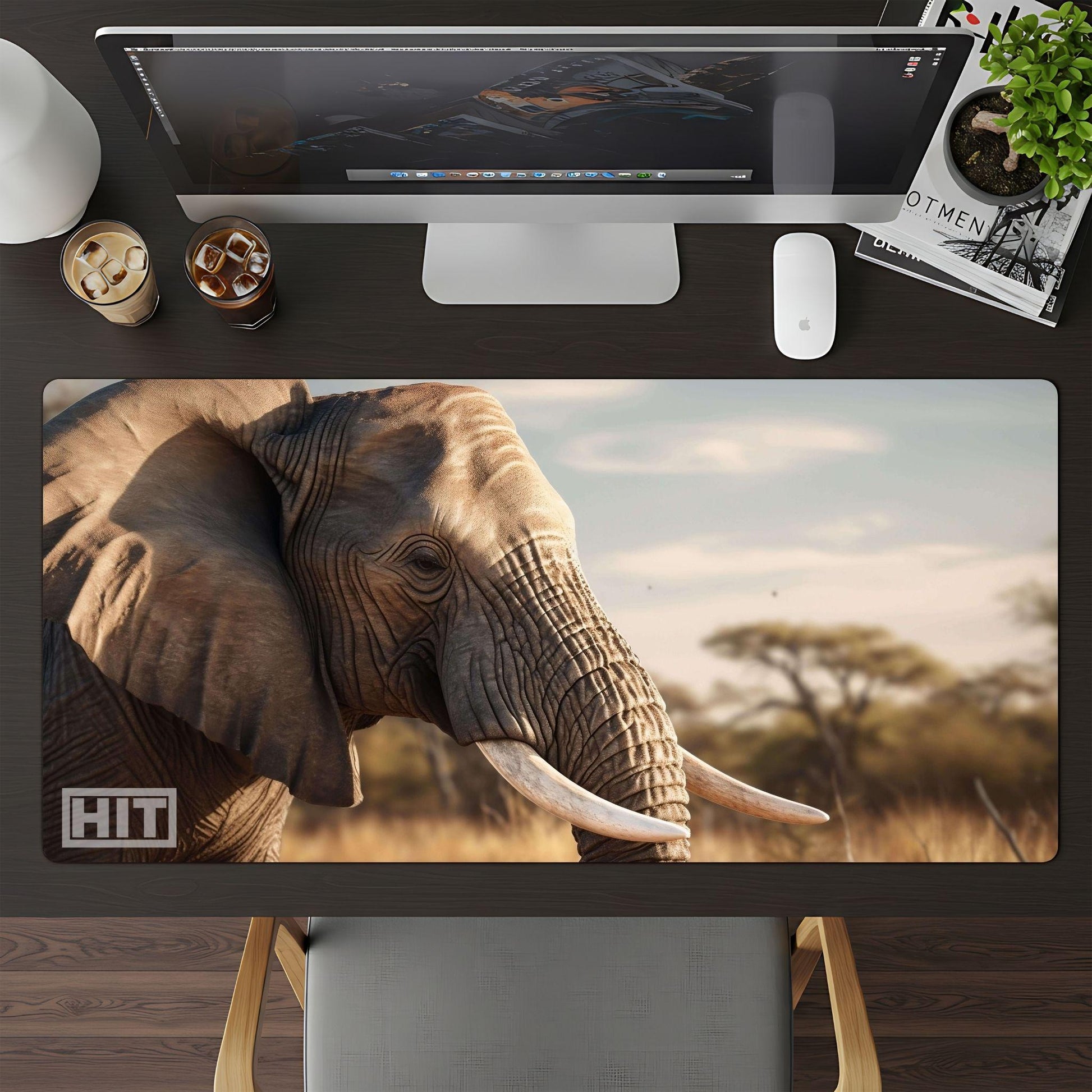 Elephant - HEYITSTRENDY