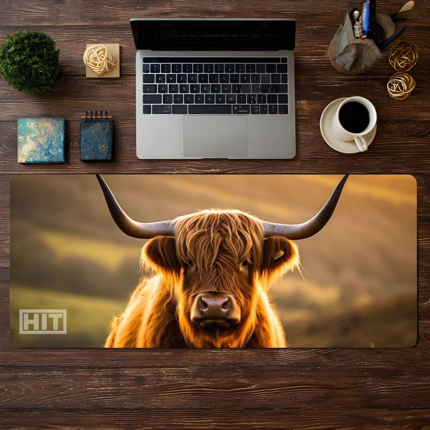 Highland Cow - HEYITSTRENDY