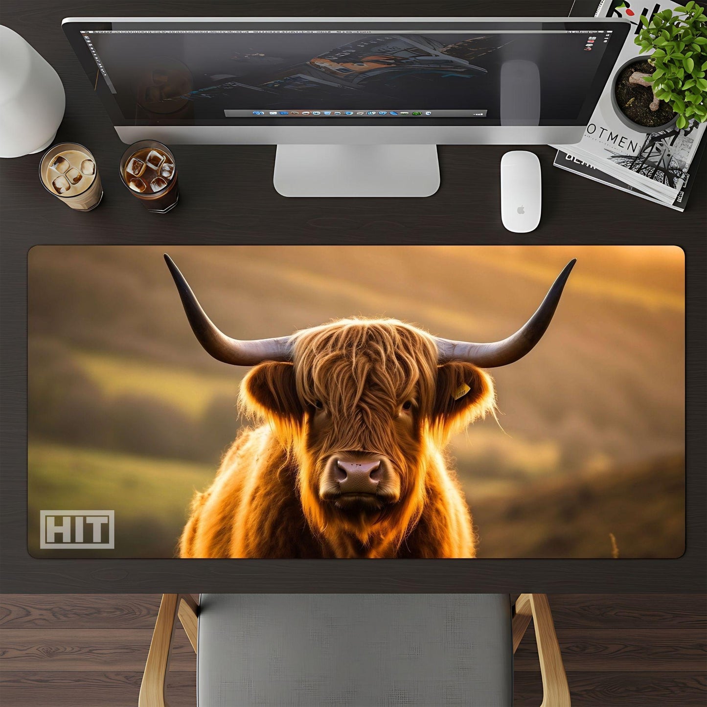 Highland Cow - HEYITSTRENDY