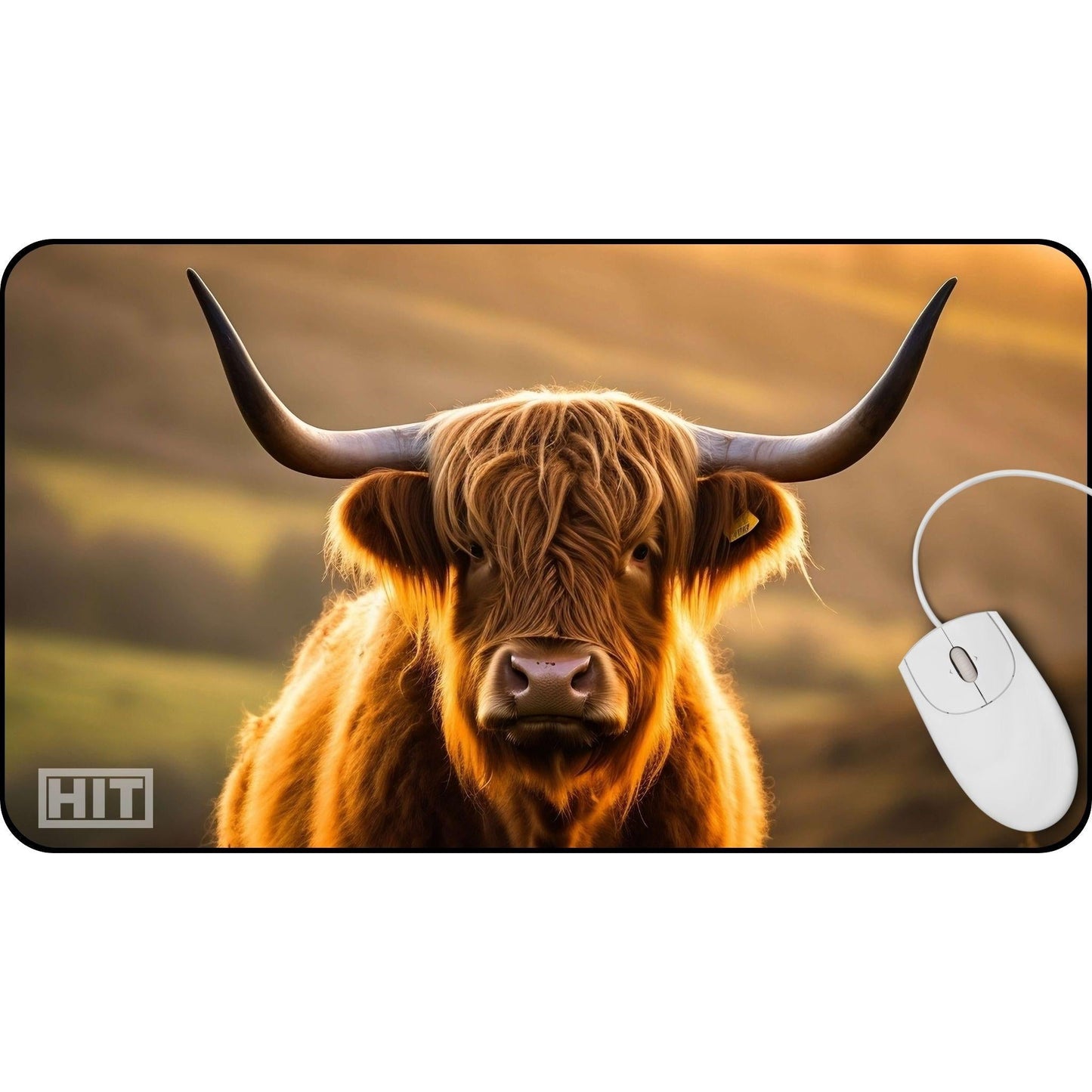 Highland Cow - HEYITSTRENDY
