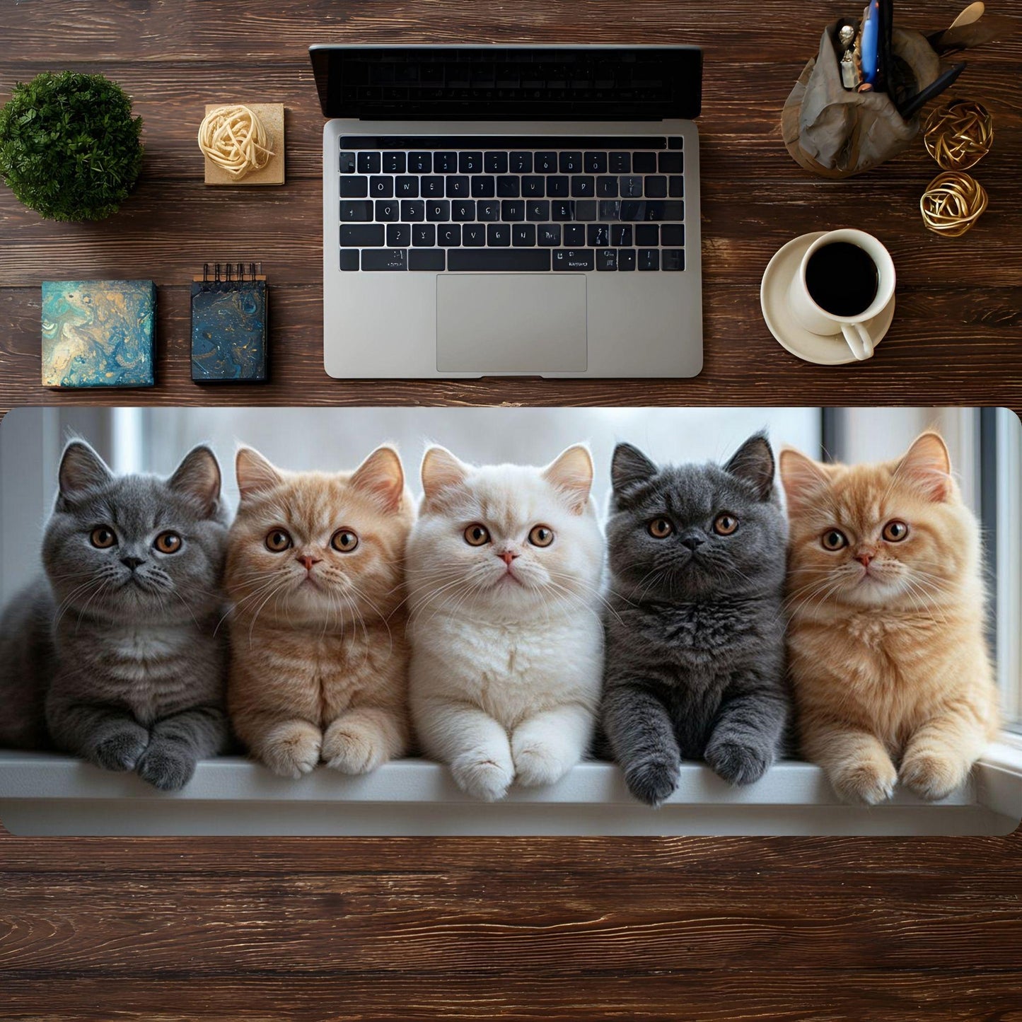 Kittens Kittens Kittens! - HEYITSTRENDY