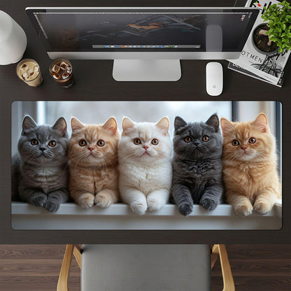 Kittens Kittens Kittens! - HEYITSTRENDY