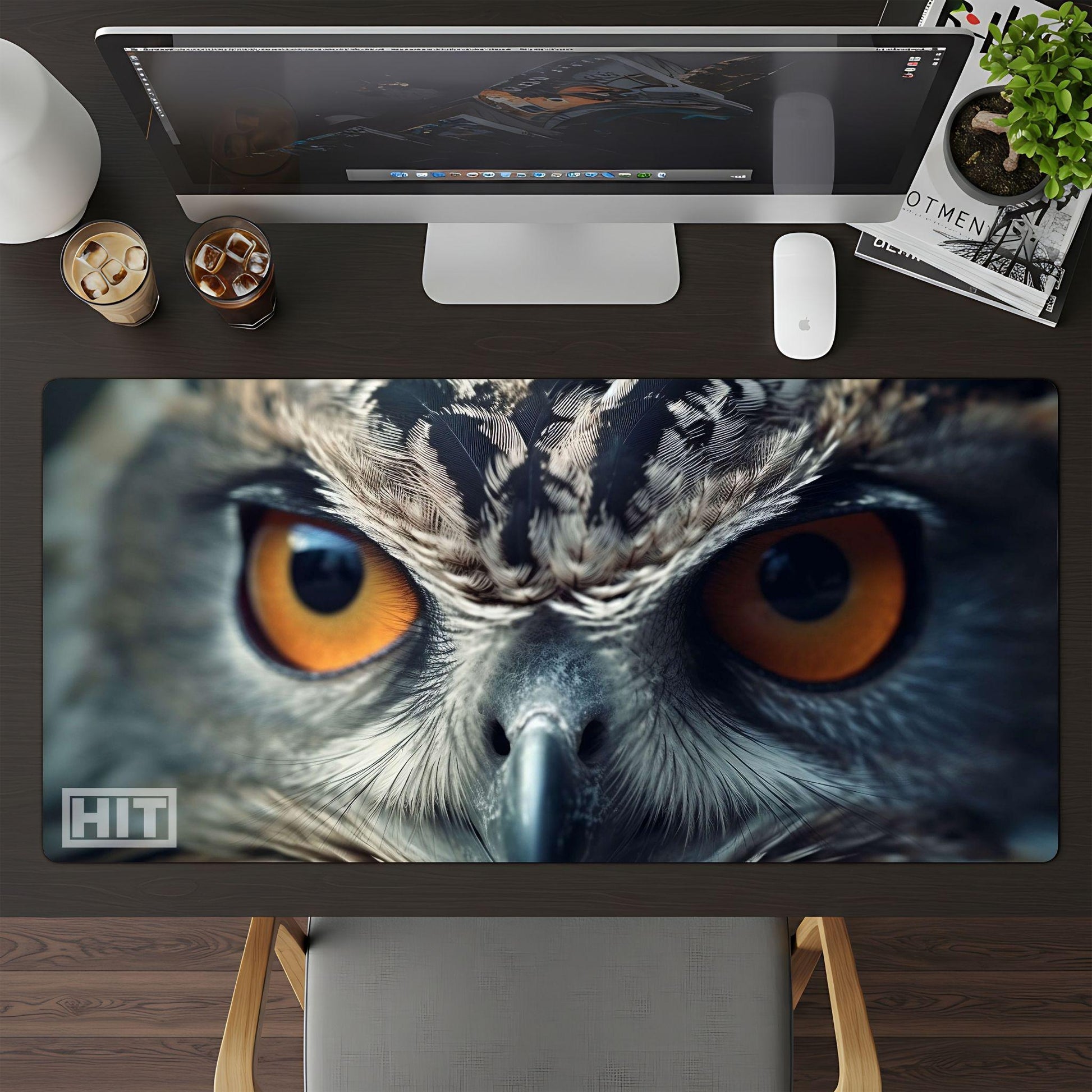 Owl Eyes - HEYITSTRENDY