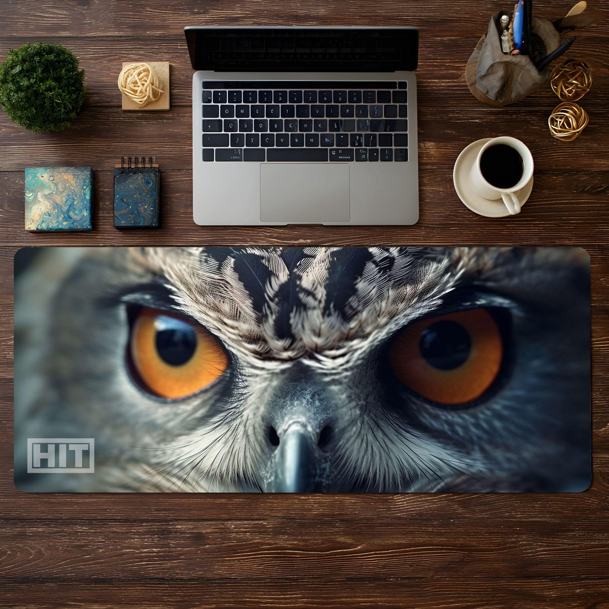 Owl Eyes - HEYITSTRENDY